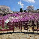 부천자연생태공원 이미지