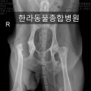 아라종합동물병원 이미지