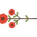 로즈향기 이미지