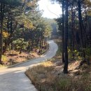 칠포2리 공중화장실(곤륜산) | 🦀포항 1박 2일 여행 : 곤륜산/포항여행 코스/국내여행 추천/패러글라이딩/스페이스워크/해맞이빵/동백꽃...