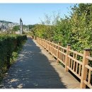 용정굴다리~동해소방서 이미지