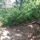 천주사 입구 이미지