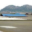 덕산통B Daum카페