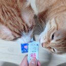 제주바당 이미지