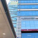 더마주피부과의원 이미지