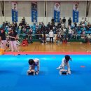 한들 태권도 이미지