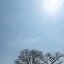 설록원 - 경주시 중앙로34번길 5 | 설록원
