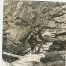 이영식농장 이미지