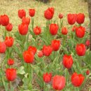 신문화건축사사무소 이미지