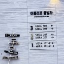 이클리프 베가 네이버블로그