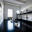 든든동물병원「산업동물 출장진료 전문」 | 청라 강아지분양 예비 반려인이라면 꼭 알아야 할 단계별 가이드