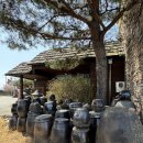 춘천닭갈비농장 | 춘천 닭갈비 맛집 [항아리닭갈비 막국수 본점] 항아리 숙성한버섯닭갈비 후기