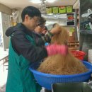 보리랑국수 이미지