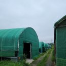 엘케이팜 이미지