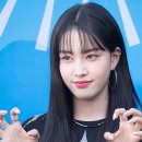 테디베어스토리 이미지