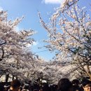 경화상회 이미지