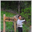 외갓집 민박 이미지