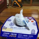 유로코피자용암점 | 용암동피자 배달 : 유럽과 한국의 콜라보레이션 반반피자 유로코피자 청주 피자맛집 추천