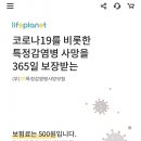 라이프 머니투데이