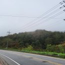 자등 2리 이미지