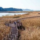 소라면 가사리 이미지