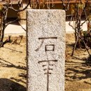충남 예산 추사고택 4월 봄꽃 힐링 여행 가볼 만한 곳 (ft. 개화시기)