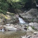 비금농장 이미지