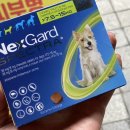 용인가축약품 이미지