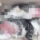 난향동-13 이미지