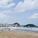 동백섬 이미지