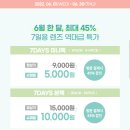 다비치안경대전