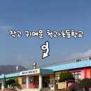 척과(병설)유치원 이미지