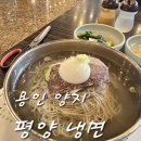 원삼사거리 | 용인 양지 평양냉면 맛집 시원하고 깔끔했던 육수 우리소