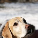 반디캠프 이미지