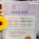 오늘DOG예쁨 이미지