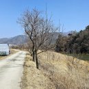 냇강쉼터 티스토리