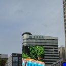 전광판 | 광화문 동아일보 전광판 직접 보고 온 후기