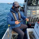 41190-01-07-145 | 제주 심해 갑오징어 끝판왕 로드 NS 다크호스2 티타늄팁 리얼 후기