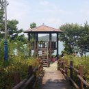 신동습지 이미지