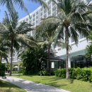 풀 POOL 당구장 | [나트랑 호텔 추천] 아미아나 리조트 후기 수영장 스노쿨링&amp;이용 꿀팁