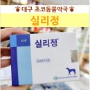 초코약국 이미지