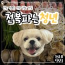 전복파는 청년 | [한입로그] 부천 원종동 전복삼합 맛집 전복파는청년 솔직후기