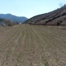 김필환농장 이미지