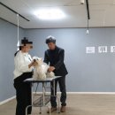 워킹펫살롱 이미지