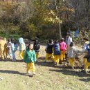 만천초등학교 병설유치원 이미지