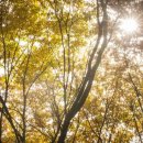 연합치과 이미지