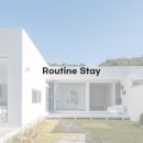 스테이강릉 이미지