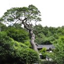 천관산도립공원관리사무소 | 2012년 7월 17일 오전 6시 52분에 저장한 글입니다.