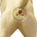 마루동물병원 이미지