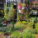 대야재래시장 이미지